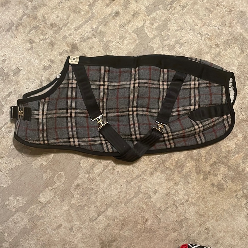 Winter Dog Jacket